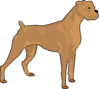 Brown Boxer Clip Art